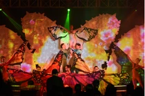 Mỹ linh tổ chức dạ tiệc rực rỡ cánh bướm