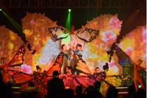 Mỹ linh tổ chức dạ tiệc rực rỡ cánh bướm