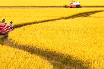 Đề xuất bổ sung, hoàn thiện chính sách, pháp luật đất đai phát triển nông nghiệp, nông thôn theo hướng hiện đại, bền vững trong bối cảnh mới