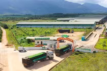 Tăng tốc sau dịch, Nutifood nhập 3300 bò sữa thuần chủng từ Mỹ