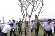 110.000 cây xanh được Vinamilk danh tặng cho người dân tỉnh Bình Định