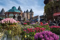 Chuyện chưa kể về những không gian xanh trên núi