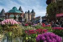 Chuyện chưa kể về những không gian xanh trên núi