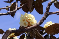 Sapa: Điểm tránh nóng lý tưởng