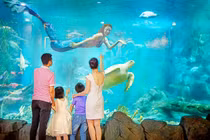 Vinpearl Land - không thể bỏ lỡ