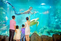 Vinpearl Land - không thể bỏ lỡ