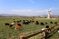 Vinamilk 3 năm liền đứng đầu BXH top 10 DN uy tín 2017