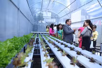 Trường THCS Lê Qúy Đôn TP. HCM đón nhận huân chương lao động hạng II