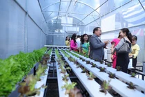 Trường THCS Lê Qúy Đôn TP. HCM đón nhận huân chương lao động hạng II