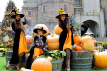 Hơn 10 tấn bí, ngô, táo trang trí Halloween Sun World Ba Na Hills