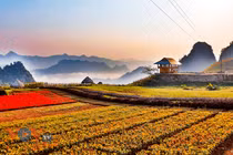 Nút giao cao tốc IC14 - Kết nối tầm nhìn chiến lược cho thị xã Lục Yên tương lai