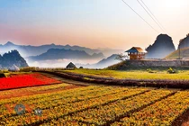 Nút giao cao tốc IC14 - Kết nối tầm nhìn chiến lược cho thị xã Lục Yên tương lai