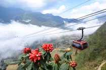 Fansipan Legend tổ chức Lễ hội hoa đỗ quyên tháng 4/2017