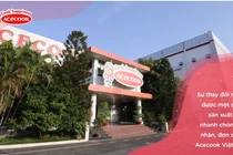 Video: Biết được điều này, bạn sẽ không khỏi bất ngờ với quy trình chiên mì ăn liền