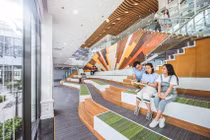 Diện mạo mới trong mô hình đào tạo quốc tế tại Việt Nam