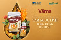 Värna ra mắt sản phẩm sữa cao cấp Värna Elite chắt lọc tinh hoa quốc bảo Sâm Ngọc Linh và Đông trùng hạ thảo