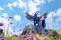 Sa Pa khởi động chương trình kích cầu du lịch lần thứ hai