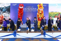 Tập đoàn TH đầu tư 2.500 tỷ đồng chăn nuôi bò sữa công nghệ cao tại Hà Giang