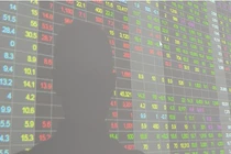 Chứng khoán lao dốc, tìm cơ hội trong “bão”