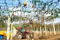 Ngân hàng Bắc Á giành giải thưởng lớn vì hoạt động xuất sắc