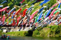 Không thể tin Ibaraki (Nhật Bản) lại có lễ hội tuyệt vời như thế vào mùa hè