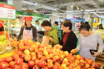 Vinmart hỗ trợ địa điểm bán hoa, cây cảnh tết