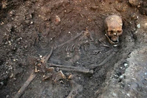 10 của quý được phát hiện ở những nơi không ngờ tới