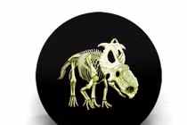 Những đồng tiền dị thường nhất quả đất