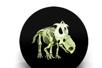 Những đồng tiền dị thường nhất quả đất