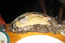 Món ngon khó cưỡng từ hàu