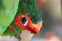 Những bức ảnh khoa học gây choáng nhất 2013 (2)