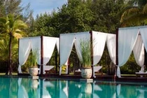 Sức hút ở bể bơi siêu khủng siêu đắt