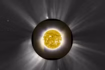 Những bức ảnh khoa học gây choáng nhất 2013 (1)