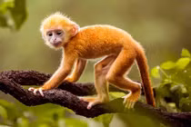 Mùa Đông 2021: 3 con giáp đổi vận giàu sang, tình tiền tăng tiến 