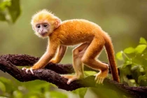 Mùa Đông 2021: 3 con giáp đổi vận giàu sang, tình tiền tăng tiến 