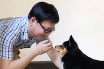 Tình yêu với những chú chó qua trang sách