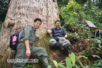 ThS. Phạm Văn Thế: Nhà khoa học trẻ cho 3 loài cây "mượn tên" 