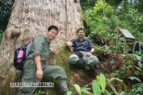 ThS. Phạm Văn Thế: Nhà khoa học trẻ cho 3 loài cây "mượn tên" 