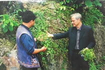 GS-TS Phạm Thanh Kỳ: Người tìm ra cây giảo cổ lam ở Việt Nam 