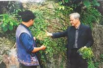 GS-TS Phạm Thanh Kỳ: Người tìm ra cây giảo cổ lam ở Việt Nam 