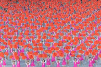 Khám phá sắc màu cuộc sống ở Triều Tiên qua loạt ảnh hiếm 