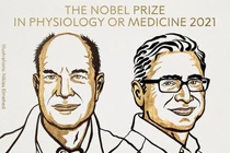 Chân dung hai nhà khoa học Mỹ đoạt giải Nobel Y học 2021 