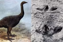 10 khám phá khảo cổ bí ẩn nhất đến thiên tài cũng “bó tay” 