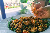 Đẹp khó cưỡng bộ ảnh 17 tháng khám phá Việt Nam của khách Tây 