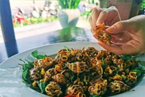 Đẹp khó cưỡng bộ ảnh 17 tháng khám phá Việt Nam của khách Tây 