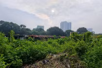 Xót xa loạt lô đất “hoang tàn” của Tổng công ty HUD