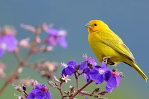 Sinh ngày Âm lịch này giỏi giang kiếm tiền, cuộc sống sung túc