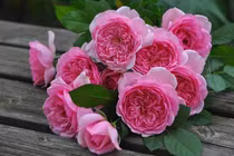 Người sinh vào ngày Âm này, hậu vận chẳng thiếu tiền tiêu