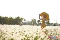 Dự báo thời tiết 30/10: Miền Bắc tiếp diễn nắng hanh