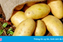 Những người không nên ăn khoai tây